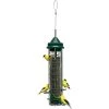 Brome Bird Care Bird feeders Squirrel Buster Finch 2 Brome Bird Care Bird feeders Squirrel Buster Finch -Deals Outdoors Store 243645 1589992401