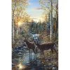 Rivers Edge Products Various gifts LED Art Whitetail Deer -Deals Outdoors Store 526814 1812