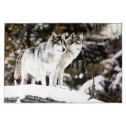 Green Trail Various gifts Wildlife Carpet -Deals Outdoors Store G8015 14 Loup