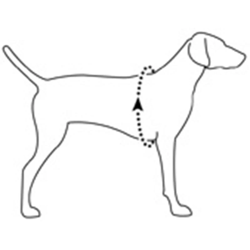 Ruff Wear Collars, harnesses and leashes Dog's Front Range Harness 4 Ruff Wear Collars, harnesses and leashes Dog's Front Range Harness - Image 2